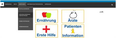 Bridging the gap in healthcare: creating an online health information prototype for individuals with intellectual disabilities to promote equity and knowledge transfer